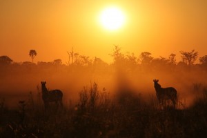 Afrikareisen nur mit Sonnenbrille